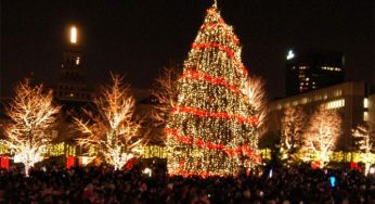 Illuminate Your Weekend: Discover the Magic of Holiday Tree Lightings