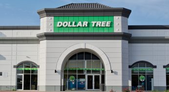 Discover Dollar Tree’s Exciting New Arrivals: 6 Must-Have Products