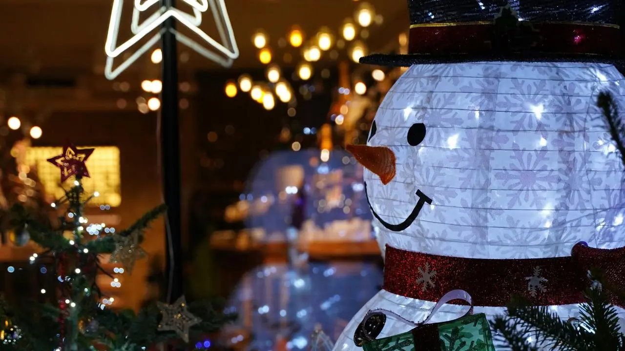 holiday-security-tips-thief-proof-christmas