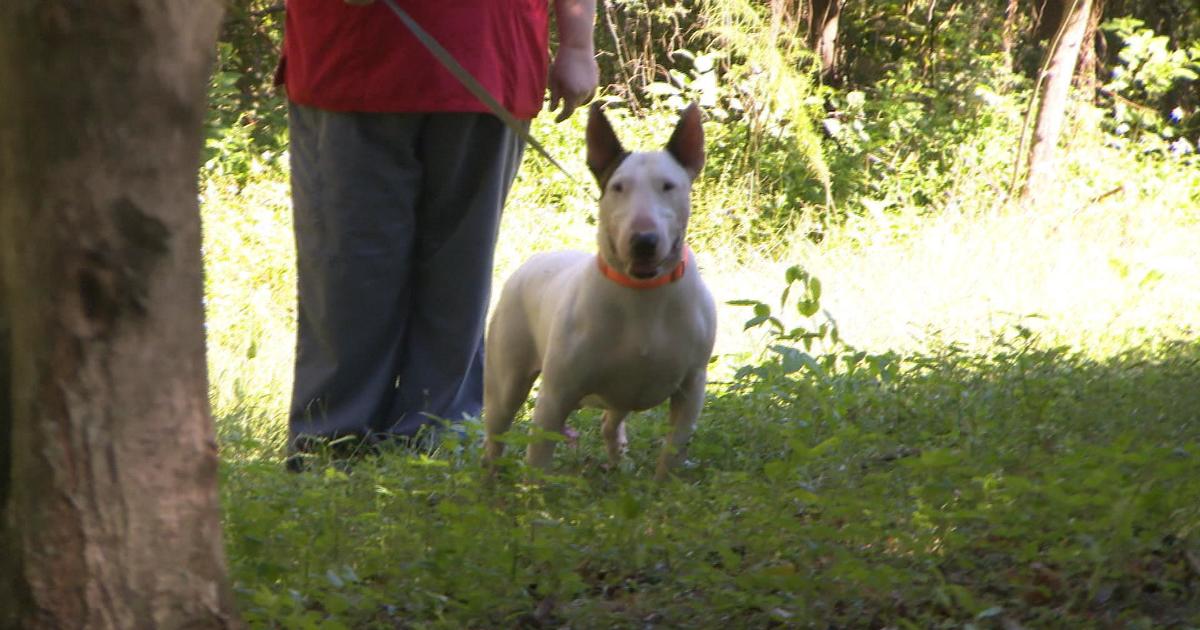 hurricane-survivor-trooper-new-life