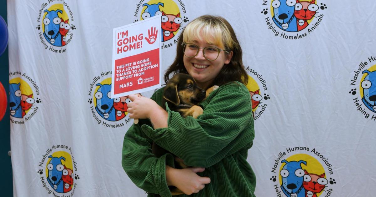 puppy-adoption-holiday-tips