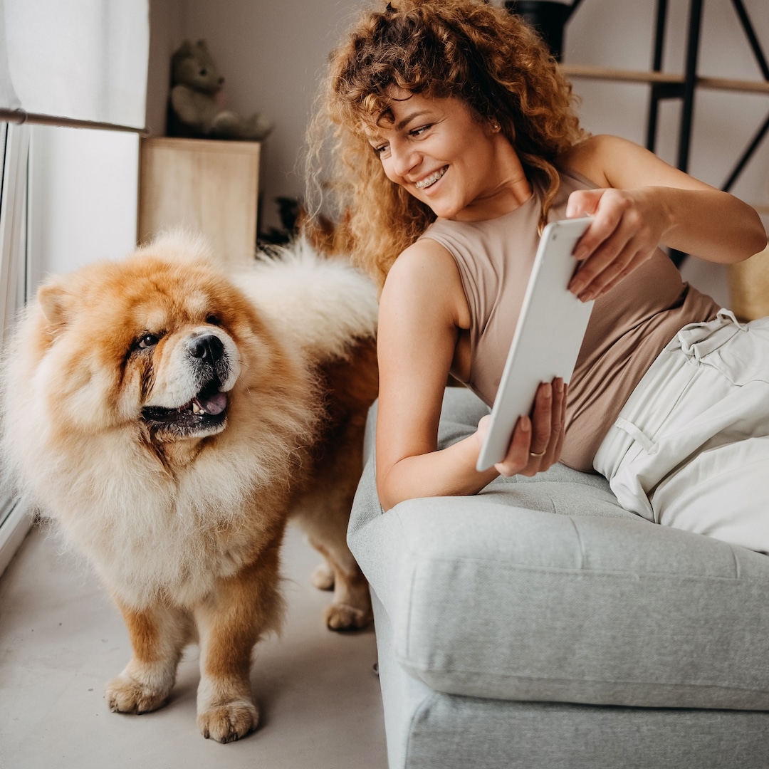 amazon-finds-pet-care-beauty-trends