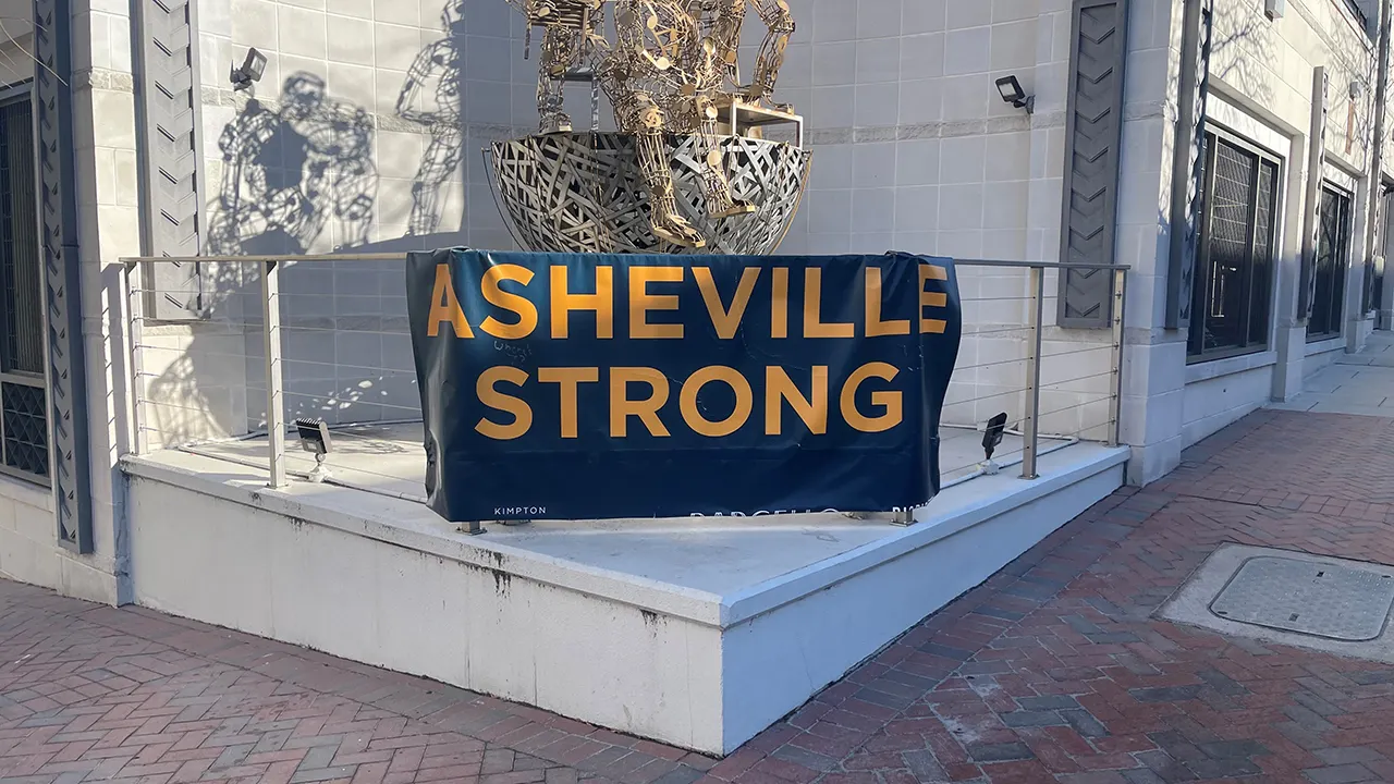 asheville-daily-struggles