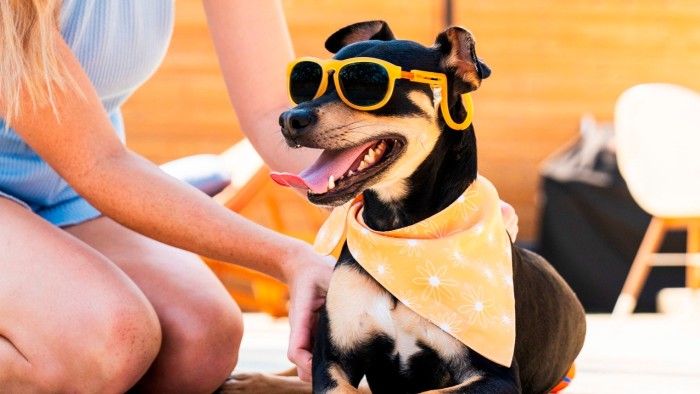 pet-tech-costs