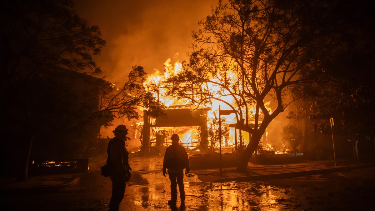 wildfire-recovery-steps