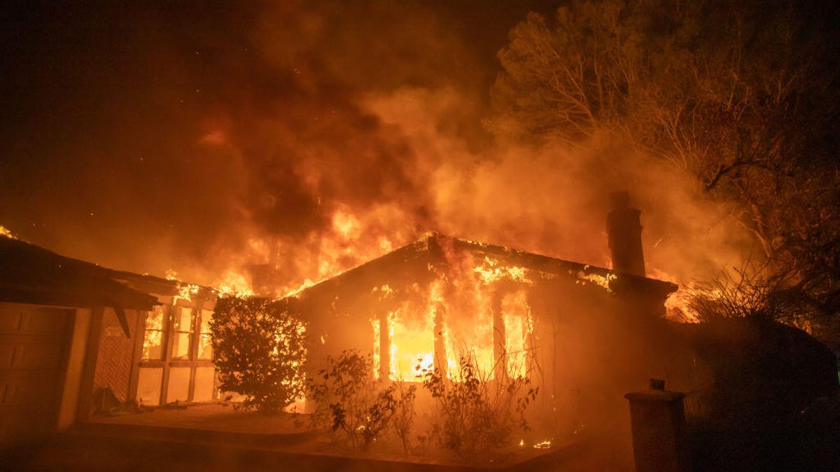 wildfire-scams-insights
