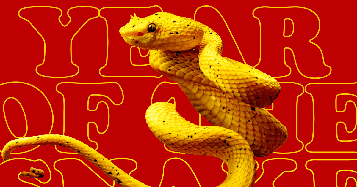 year-of-the-snake-transformation
