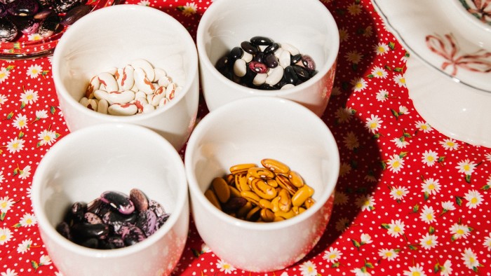 laila-gohar-bean-party