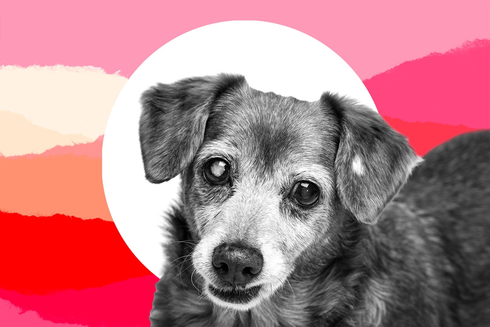 navigating-family-dynamics