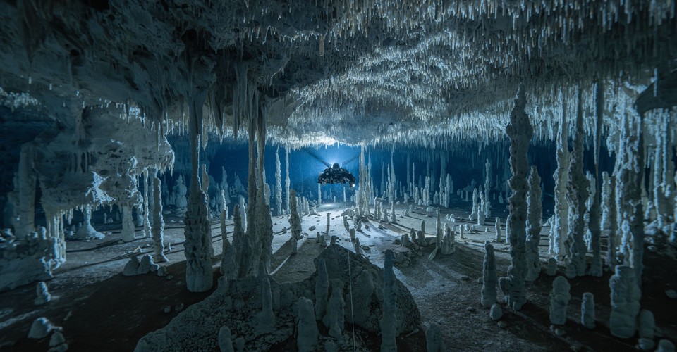 underwater-photography-2025-contest