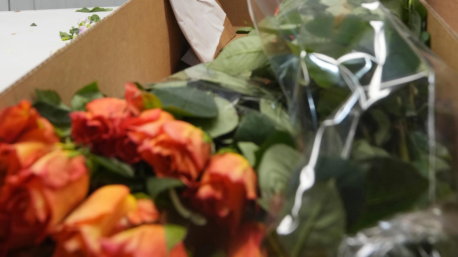 valentine-day-flowers-miami