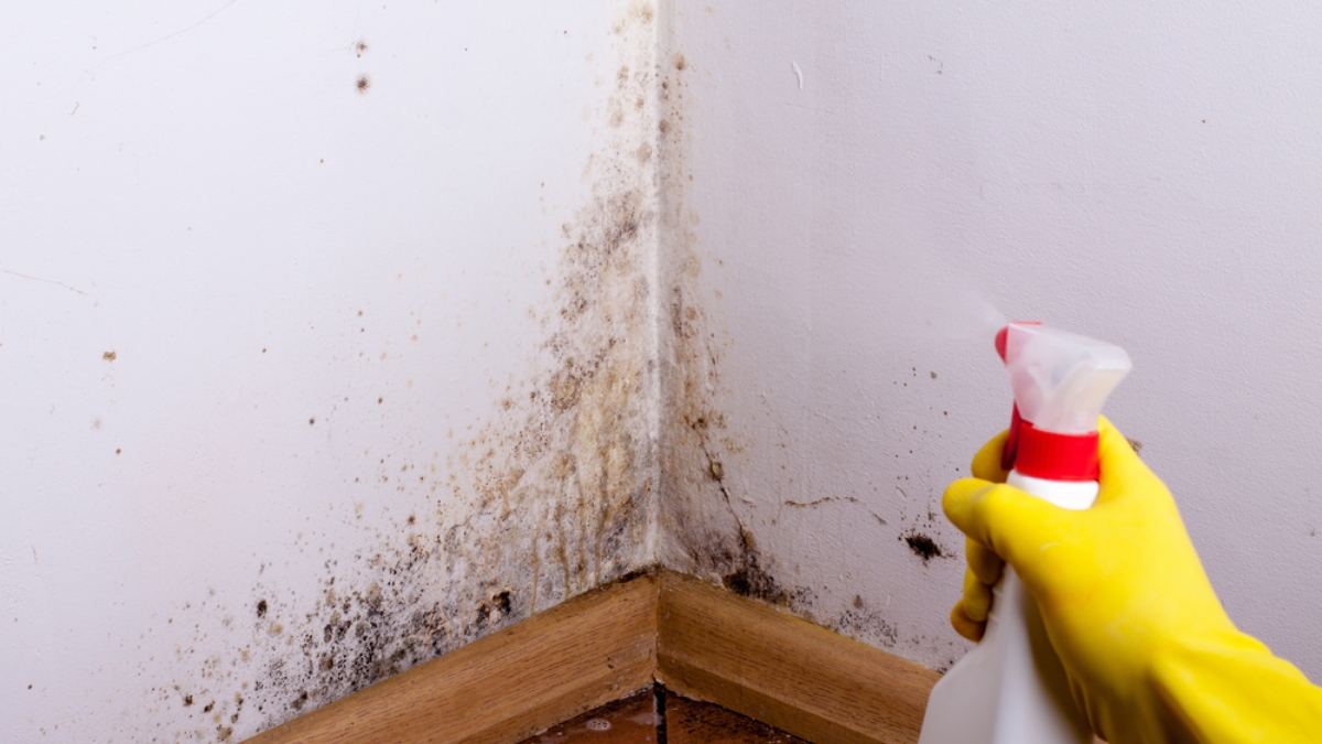 viral-recipe-humidity