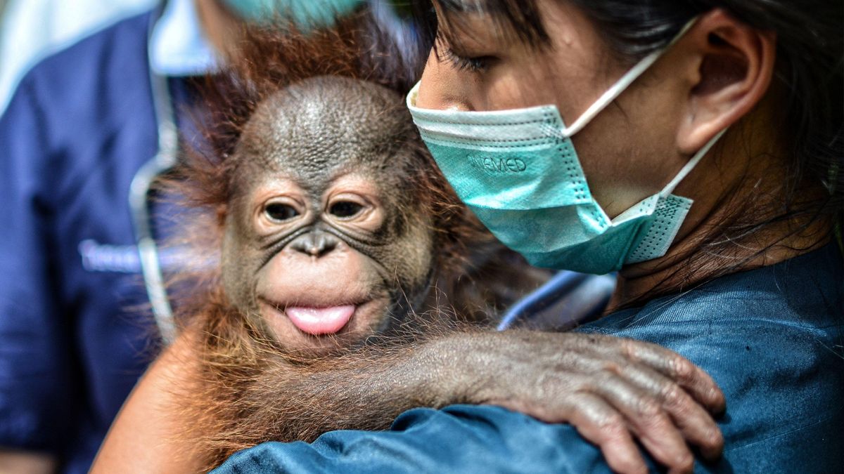 weekly-highlights-photography