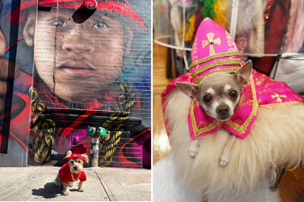 pet-gala-nyc-dogs-celebrity-fashion